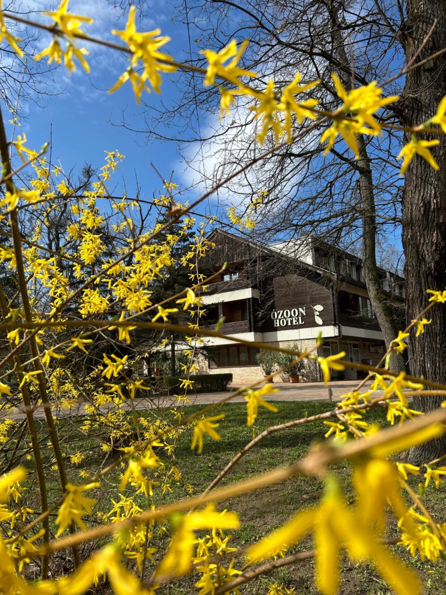 Ozoon Hotel นีเรกฮาซา ภายนอก รูปภาพ